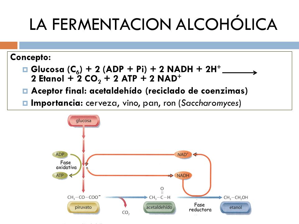 Documentos relacionados